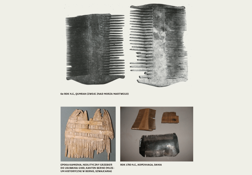 Zantey combs PL